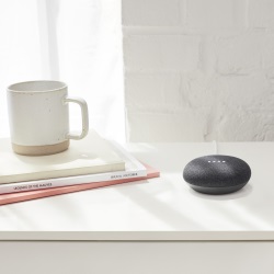 Google Home mini slimme speaker